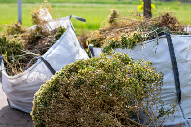 Best Yard Waste Removal  in Farragut, TN